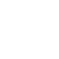 Strategic Partner